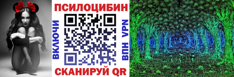 darknet официальный сайт Тимашёвск Псилоцибиновые грибы прущие грибы
